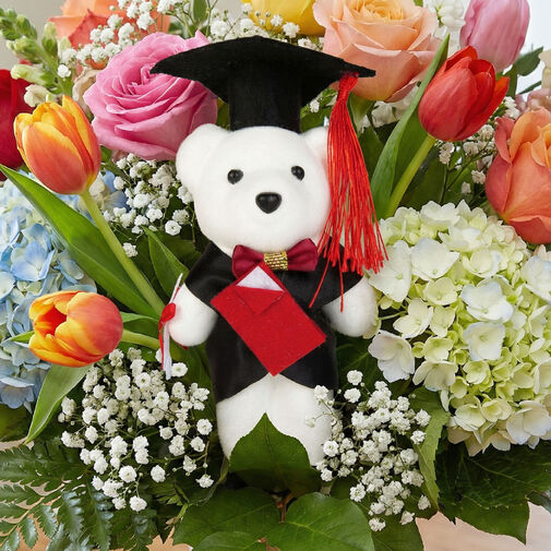 11970 • Ajándék - Diplomás maci - 13 cm