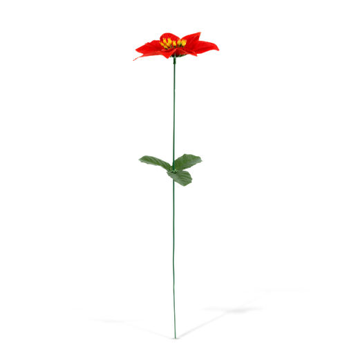 59700 • Karácsonyi dekoráció - mikulásvirág - 50 cm